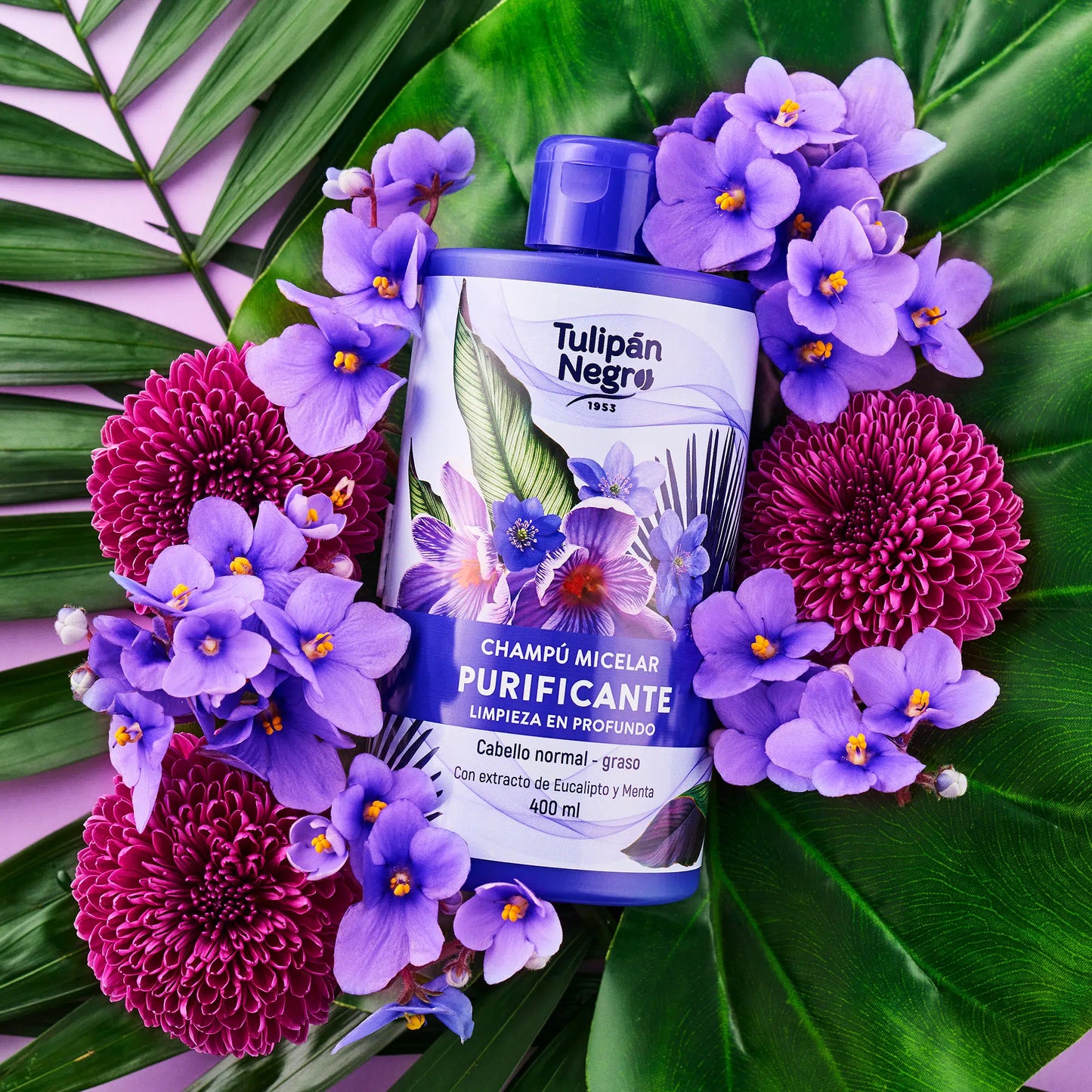 Shampoo Micellare Tulipano Nero Purificante