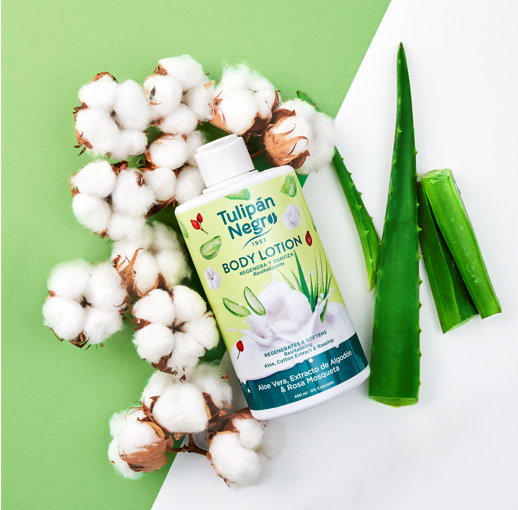 Set 5 Pezzi Aloe Vera